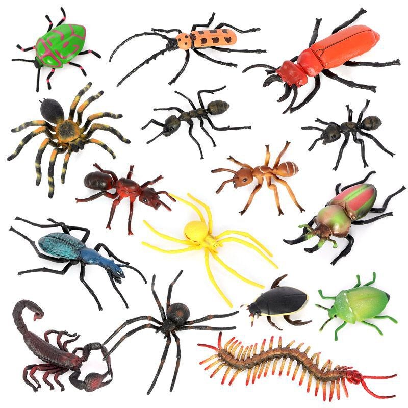 Simulated Insect Animal Models: Longhorn Beetle, Shield Bug, Ant, Centipede, Scorpion, Children's Cognitive Toys, Spider, Dragonfly