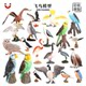 Simulated Animal Model Solid Bird Bird Animal Kidsren Cognitive Toy Parrot Owl Flamingo Parrot