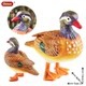 Children's Toys, Simulated Mandarin Duck Ornaments, Bird Models, Desktop Decorations, Bonsai Landscaping Ornaments, Hand-Made Figures for Early Education