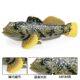 Simulated Jumping Fish, Fish Tank Ornaments, Tropical Ornamental Fish, Beach Fish, Freshwater Fish, Pet Fish Model Toys