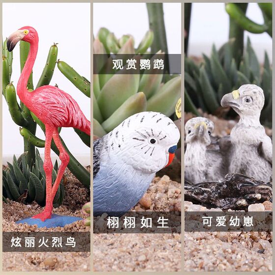 Children's toys solid simulation animal model set bird eagle parrot peacock flamingo science and education awareness