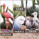 Children's toys solid simulation animal model set bird eagle parrot peacock flamingo science and education awareness