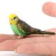 Simulated Wild Animal Model Set Budgie Bird Bird Static Solid Kidsren's Plastic Toy Gift