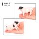 Children's Toy Realistic Farm Animal Pig Model Plastic Solid Doll Piglet Small Pig Cognitive Figurine Ornament