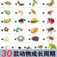 Children's Toys Simulated Animal Models Insects Butterfly Growth Stages Frog Growth Cycle Ladybug Cicada Grasshopper