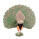 Simulated Animal Model Birds Birds Peacock Model Solid Static Kidsren's Toys Plastic Decoration Ornaments Gift