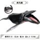 Children's Toys Simulated Marine Life Undersea Animal Model Big Humpback Whale Shark Shark Ornament Hand-Made Gift