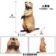 Children's Toys Simulated Real Wild Animal Model Rat Big Flying Squirrel Guinea Pig Marmot Cognitive Trick Ornaments