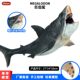 Simulated Prehistoric Marine Animal Model White Salamander Shark Large Megalodon Great White Shark Tiger Shark Ornament Toy