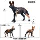 Simulated Wild Animal Model Solid African Wild Dog Earthwolf Hunting Dog Model Kidsren's Plastic Toy Cognitive Ornaments