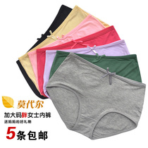 Model mid-waist weight plus large yard lady triangle underwear in old trousers fat mm shorts momm gift