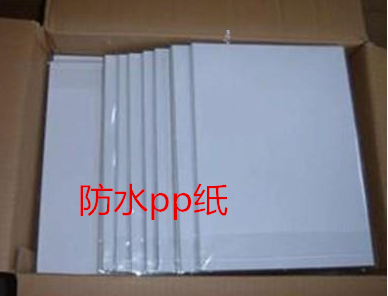 Shanghai color art digital material-A4A3 coiled material waterproof without back adhesive PP paper waterproof pp synthetic paper 180 gr