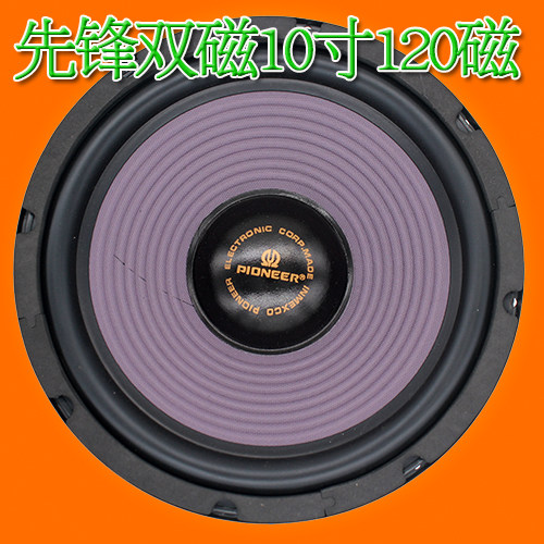 pioneer 10 inch speaker