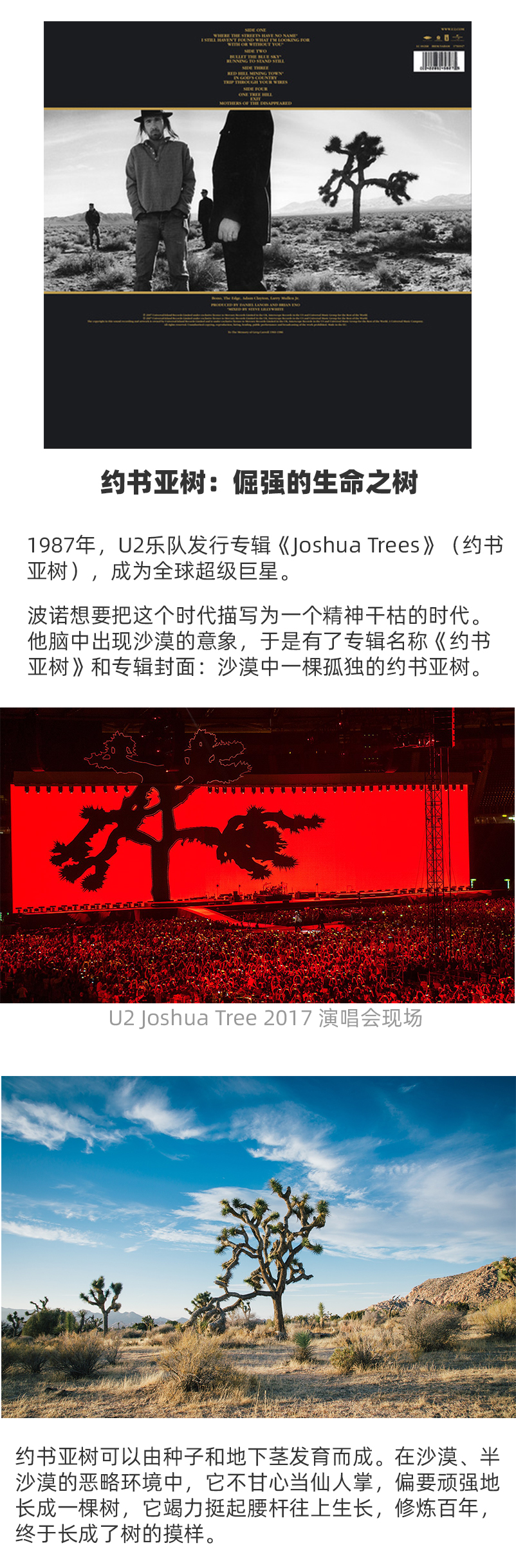 迟到的2020麦田T恤上新(05-01 更新)