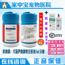 Skin Qukang Injection Liquid Dog Fungi infected with the pinpot 1 ml of the beautiful hair extraction liquid skin care