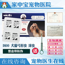 The D800 D800 insecticide in the Boxyl D - 800 insecticide in the Boxylococcal cat