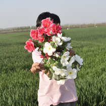 Simulation azalea fake flower Hand-cranked flower School kindergarten games Hand-held stage dance chorus performance bouquet