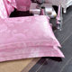 A pair of pillowcases with 2 pillowcases satin jacquard single piece student dormitory pillow cover single double 48*74