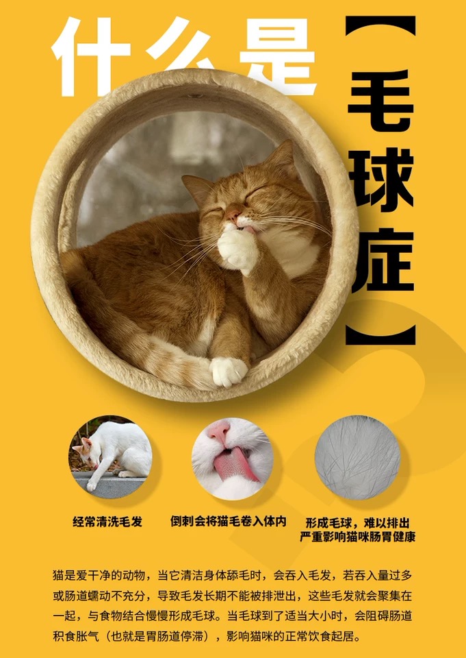BeMate kem làm đẹp đặc biệt mèo âm hộ kem để bóng tóc điều hòa dạ dày mèo dinh dưỡng nói chung nuôi dưỡng chất làm mềm - Cat / Dog Health bổ sung sữa cho mèo