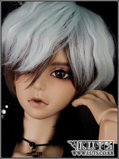 (LUTS)Senior Delf NOEL (customs broker)