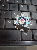 2016 Lillehammer Winter Youth Olympic Games badge in Norway US Olympic Committee NOC badge Snowflake badge