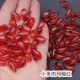 Polygonum aleged red [20]
