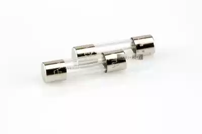 Swiss Schurter Shute fever grade audio fuse frozen version