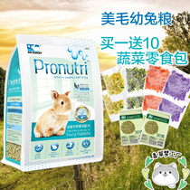 Send 10 Little Food Rabbit Dr Puffed Beauty Hair High Protein Rabbit Food Main Food Feed 900g dr318