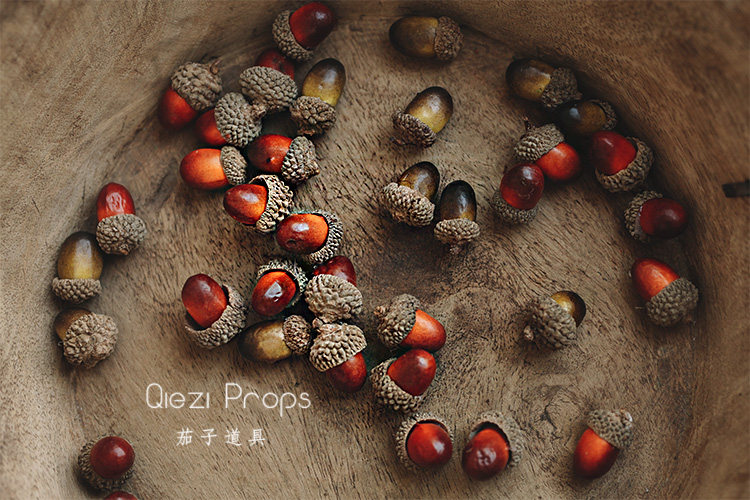 Christmas natural pine cones ~ simulation nuts ~ photo props ~ newborn photography props