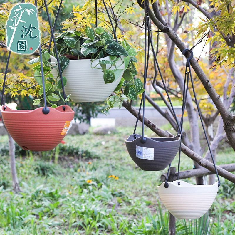 Alice Hanging Orchid Pot Hanging Blue Wall Hanging Wall Wall Wall Palm Palm Palm Basin Pemb Ceiling