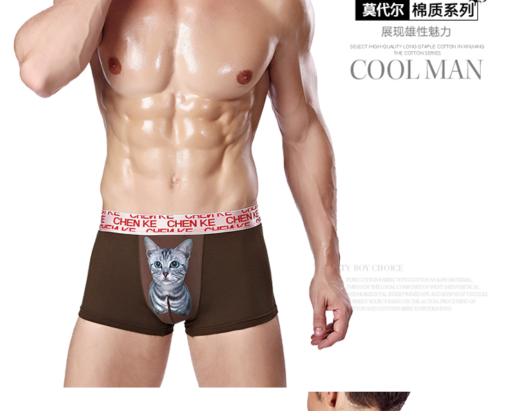 Couple mèo đồ lót đầu cotton sexy băng lụa thấp eo dễ thương ladies nam boxer tóm tắt mèo phù hợp với