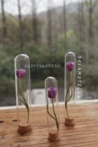 Leye Handmade stella Original Glass Tube Embroidered Tulip Gift Ornaments