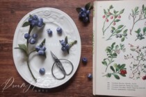 Leye Handmade Original New Edition Embroidered Blueberry Brooch