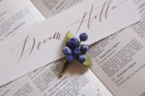 Leye Handmade stella Original Stereo Embroidered Blueberry Brooch Material Package (Excluding Courses No)