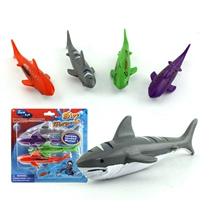 Акула, дайвинг