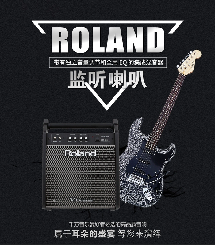 Loa Roland / Roland Loa CUBE-STREET EX - Loa loa loa denon