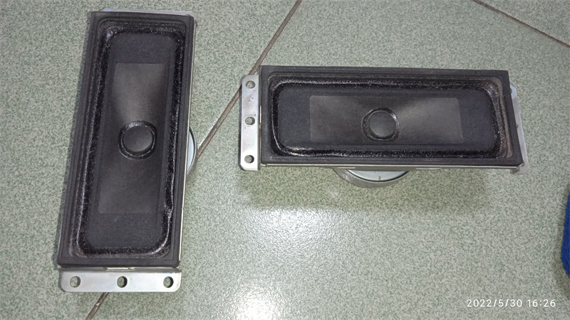 SONY rectangular full-frequency horn 1-825-099-11 a pair of 1-825-099-11 pair