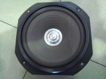 RICO YD250-2 domestic 10-inch speaker