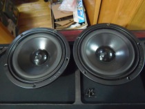  A pair of original visaton 6 5-inch subwoofers