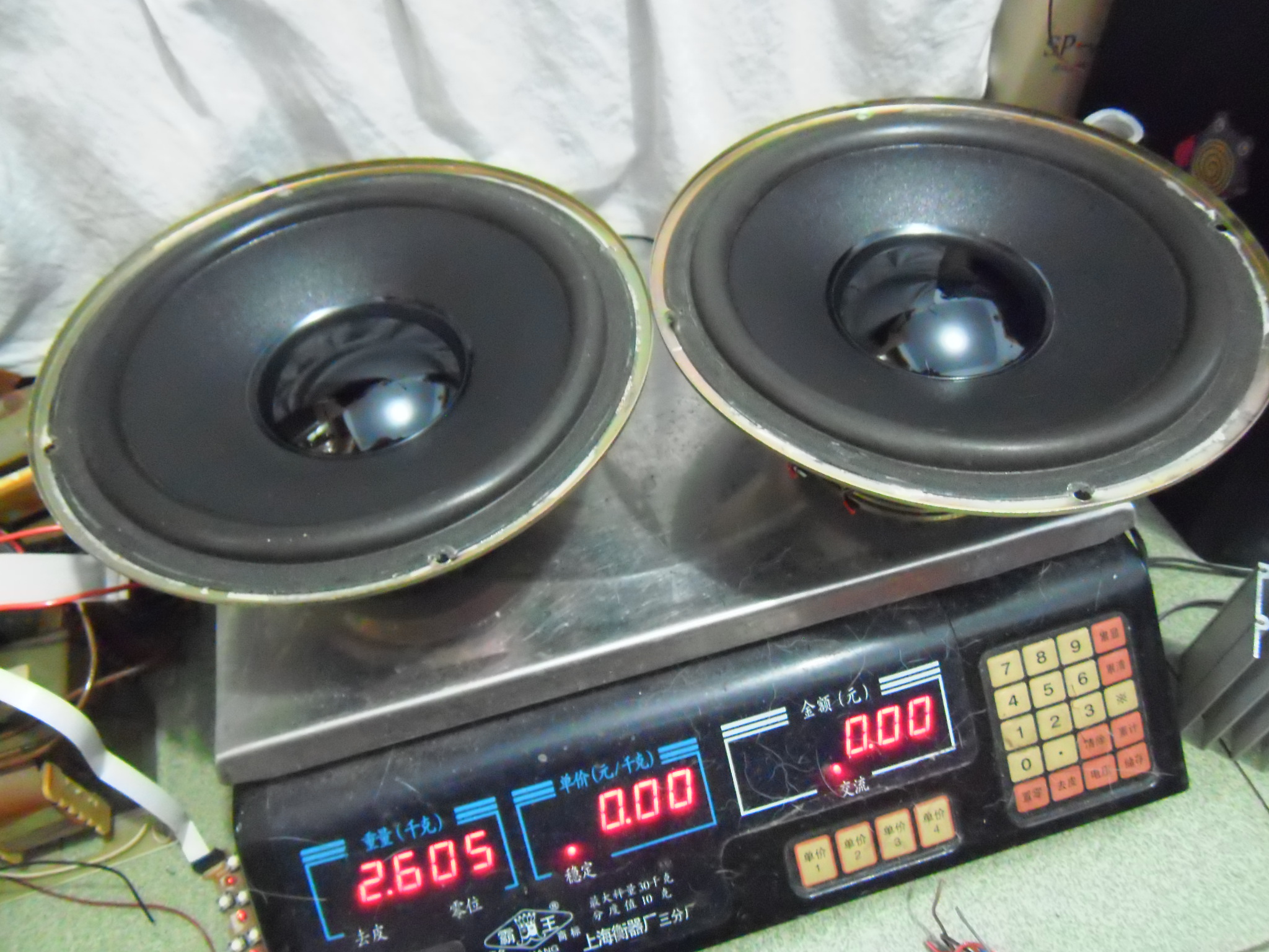S L 8 Ohm 30W 8 inch horn pair-Taobao