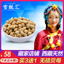 (Buy 3 get 1) Tibetan Fritillaria Natural Chuanbei ground ground powder Chinese herbal medicine special small green shell Feisui 20g