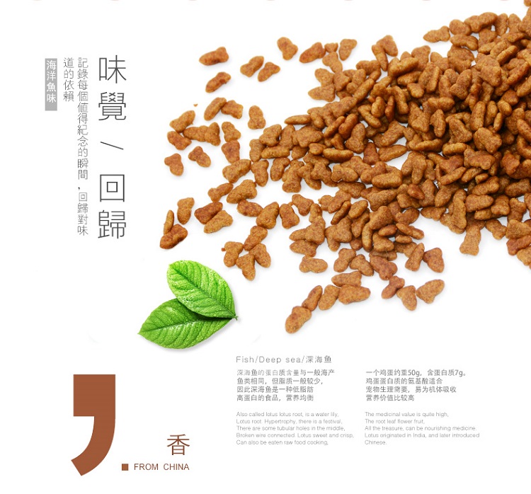 Remy Gao Aoli thức ăn cho mèo 5 kg 500g5 túi cá đại dương hương vị mèo cưng mèo ngắn Anh mèo xanh 2,5kg - Cat Staples thức ăn royal canin
