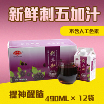 Benxi Yixiangbi short-stemmed Thorn senticosus drink sugar-free raw juice northeast wild health drink 490ml * 12 boxes