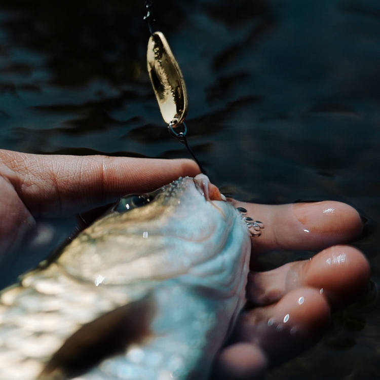 BUTTERFLY SHADOW MOUNTAIN RIVER PURE COPPER MICRO-MATTER SEQUIN SINGLE HOOK STREAM MA Kou JUN FISH WILD WATERWAY SUB-BAIT 1 0MAGICLURE