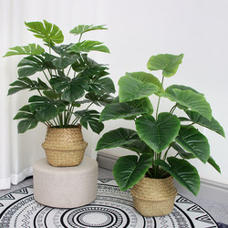 Fake Flowers, Artificial Flowers, Living Room Decorations, Bedroom Floor-Standing Bionic Green Plant Potted Ornaments, Turtle Back Interior Decoration Fake Plants