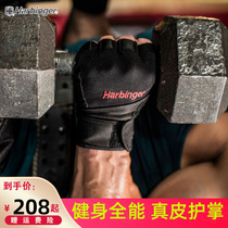 Harbinger Haabins 140 Wrist Fitness Glove Movement Hard Pull in a single bar force to prevent a cocoon
