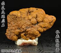 Natural genuine Tianyan Tianyan Tianzhu Tibetan Lizi Tantric Necklace Buddhism Nine-eyed Stone Shale