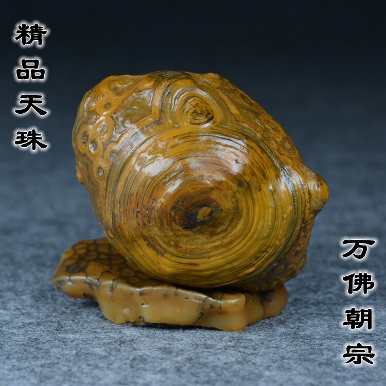 Nine eyes shale Mondays Pearl Tibet authentic Buddha Pearl natural old mine Gobi wall surface high jade-eye raw stone