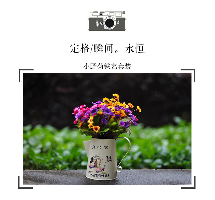Xuất khẩu tinh khiết sắt vẽ tay lưu trữ xô hoa lưu trữ xô vườn nhà bình hoa - Vase / Bồn hoa & Kệ chậu trồng rau thông minh