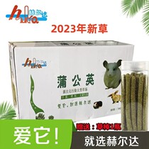 新草赫尔达蒲公英草 兔子龙猫豚鼠荷兰猪天竺鼠清热去火牧草